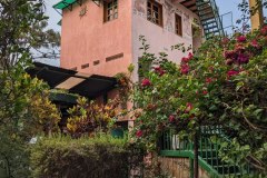 PXL_20240513_131858110