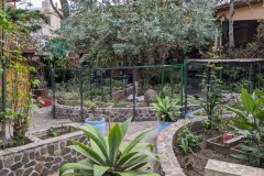Herbal- and flowergarden in Panajachel
