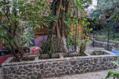 Herbal- and flowergarden in Panajachel