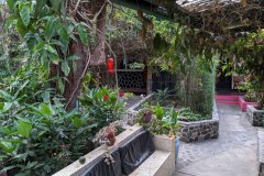Herbal- and flowergarden in Panajachel