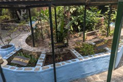 Herbal- and flowergarden in Panajachel